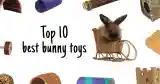 top 10 best bunny toys