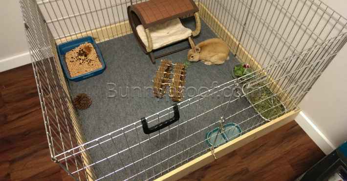 best floor for my bunny enclosure 