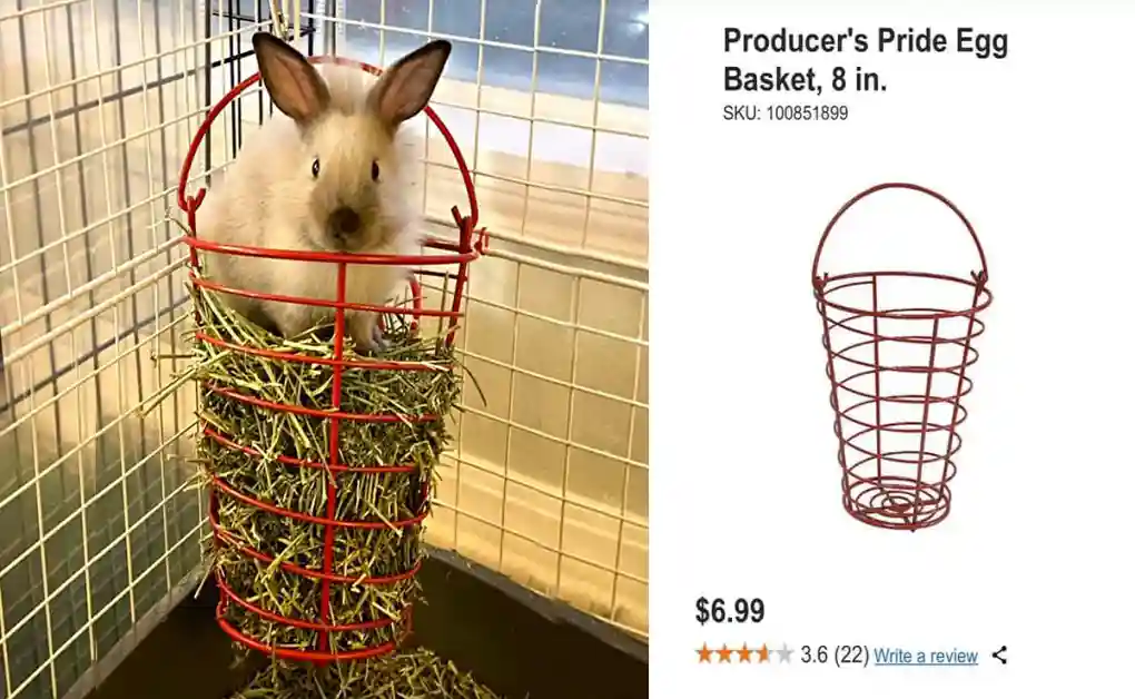 bunny sitting hay feeder