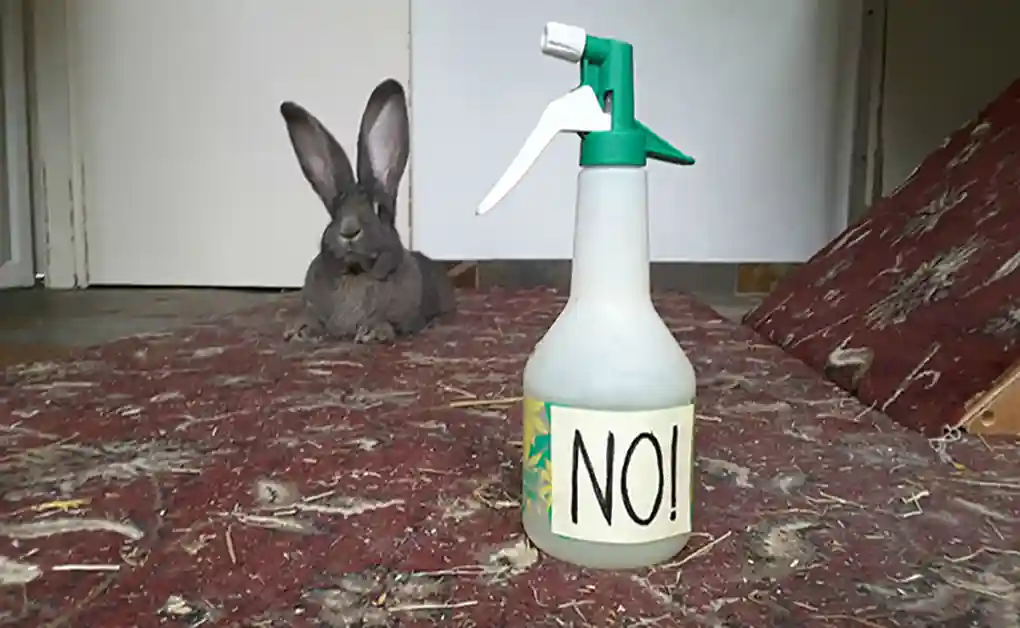 bunny stop chewing water mister