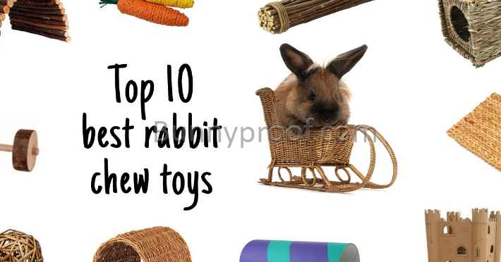 bunny chew toys