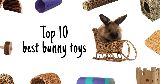 Top 10 best chew toys for bunnies