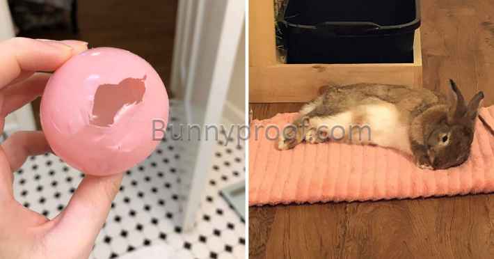 bunny chewed pink ball