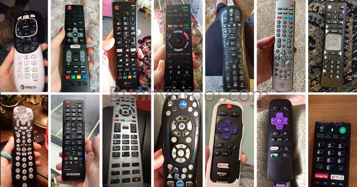 bunny chewed remote controls