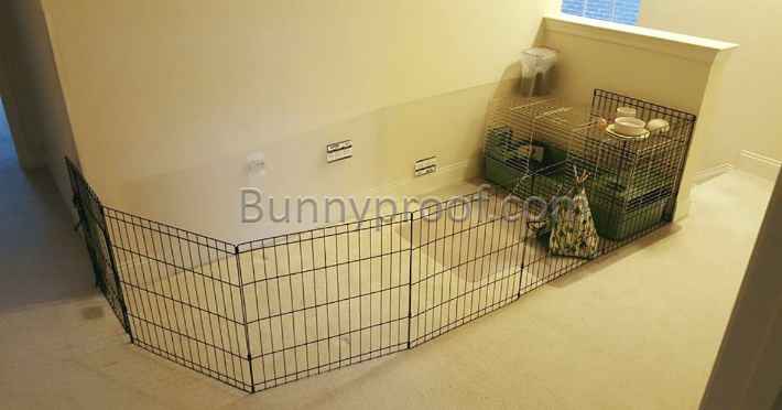 bunny enclosure acrylic wall cover protection