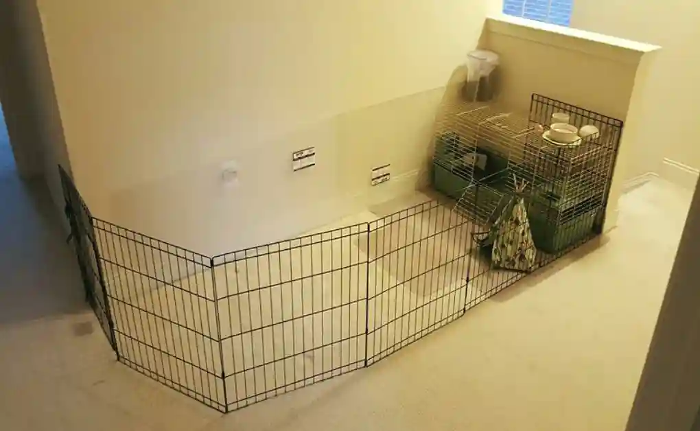 bunny enclosure acrylic wall cover protection