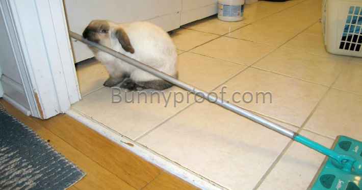 bunny mop kitchen