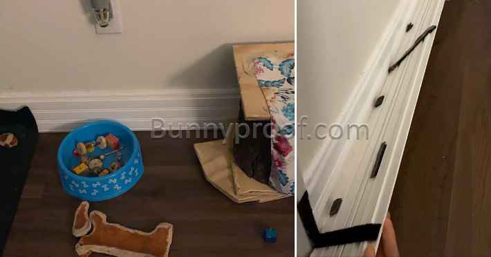 bunny proof baseboard cover