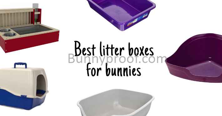 bunny proof best litter boxes
