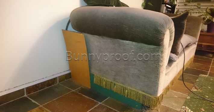 bunny proof block couch back