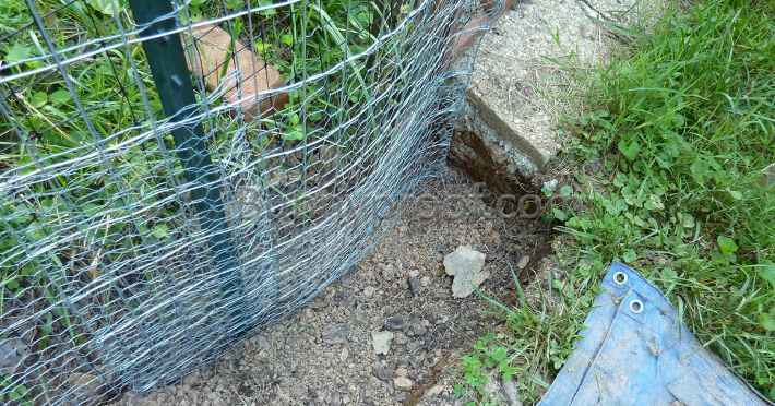 bunny proof fence trench