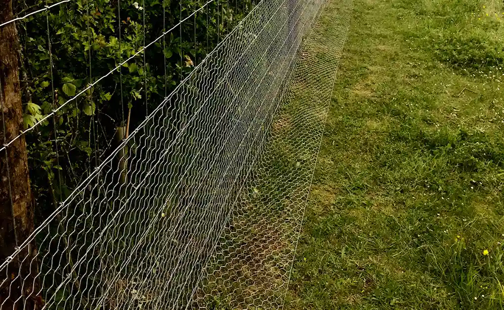 bunny proof fence