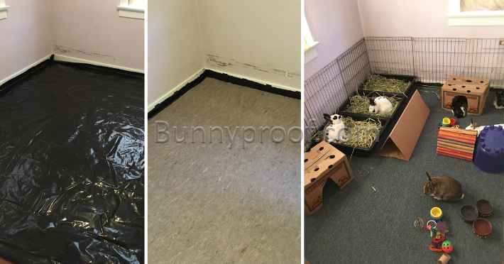 bunny proof flooring