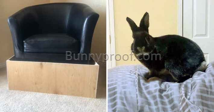 bunny proofed chair
