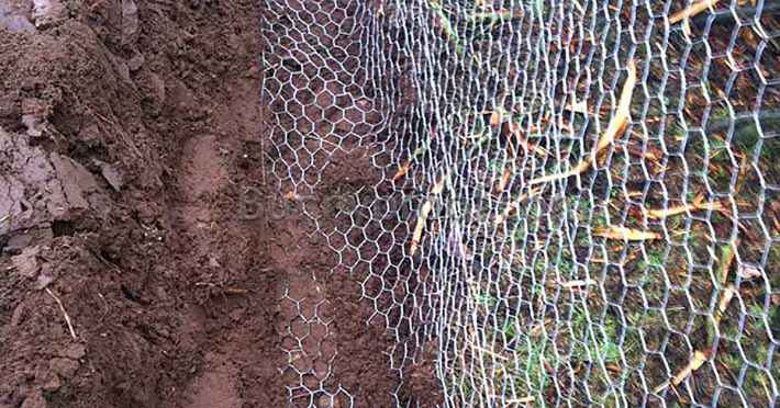buried wire fence