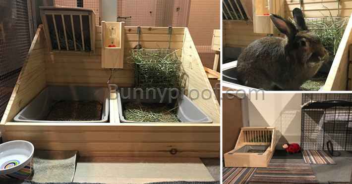 custom made bunny litter tray hay feeder