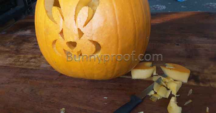 halloween bunny pumpkin carving knife