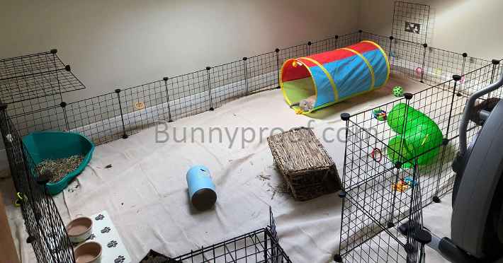 large office storage cube bunny pen gate