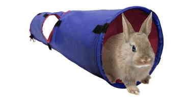 activity tunnel bunny toy