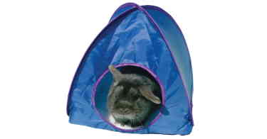 bunny tent toy