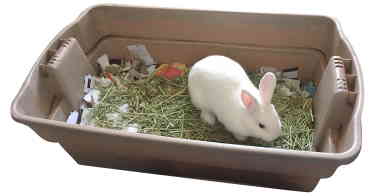 digging box bunny toy