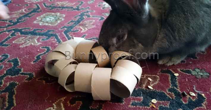 rabbit playing toy toilet roll rattle