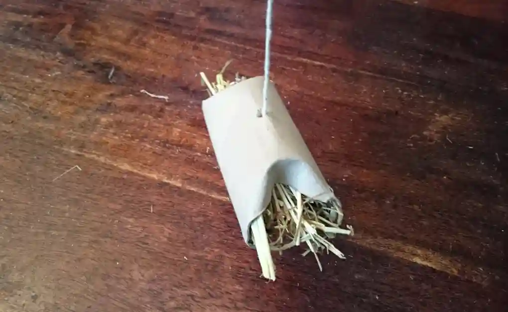 rabbit toy toilet roll hanging hay roll pt4