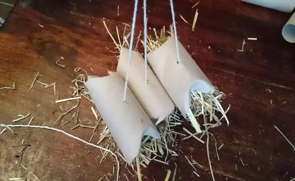 rabbit toy toilet roll hanging hay roll