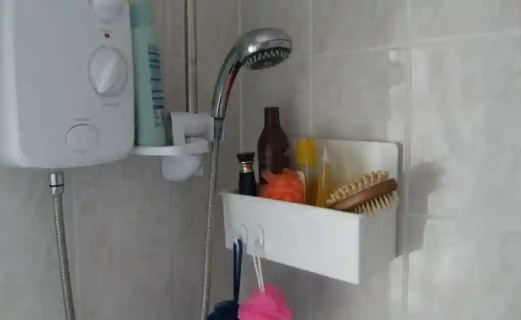 shower tidy