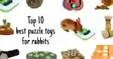 top 10 best bunny puzzle toys
