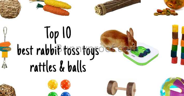 top 10 best bunny toss toys rattles balls