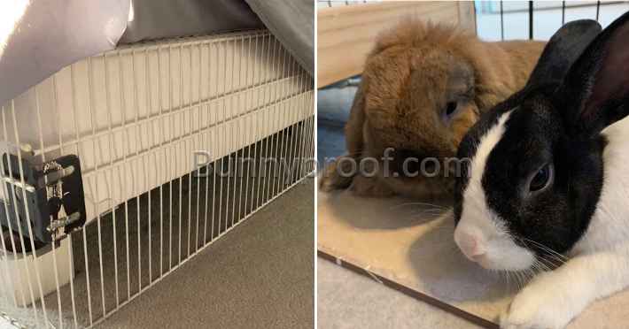 wire mesh under bed bunny proofing